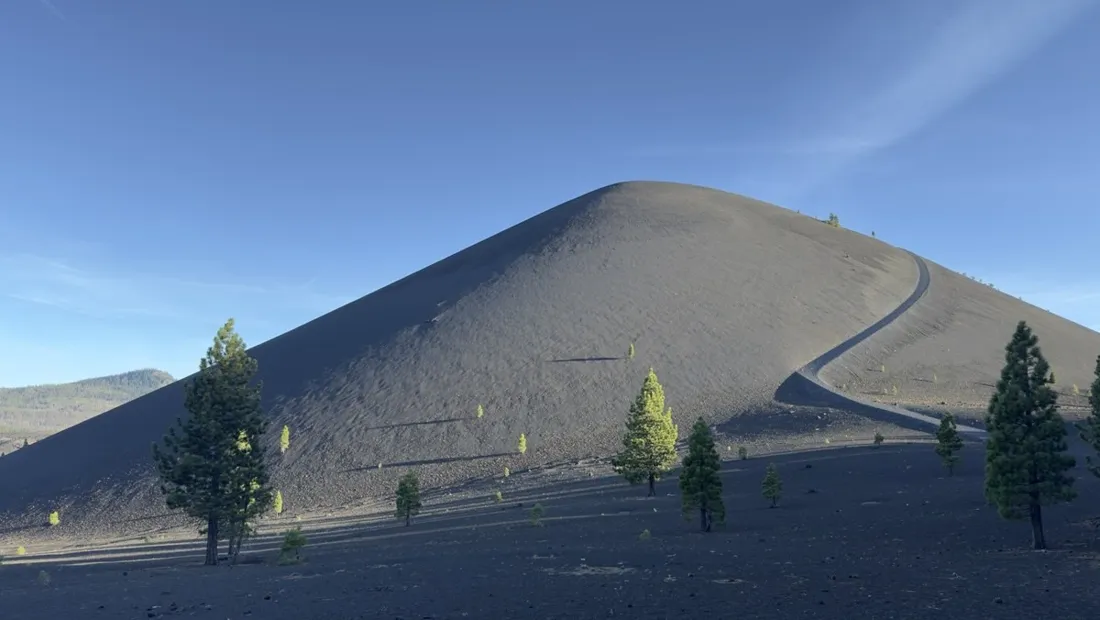 Lone pine on the smooth gravel slope of the Cinder Cone