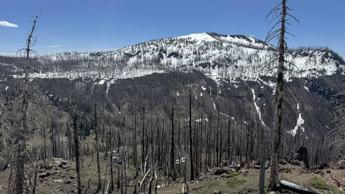 Fire-scarred forest below the snowy ridgelines of Lassen