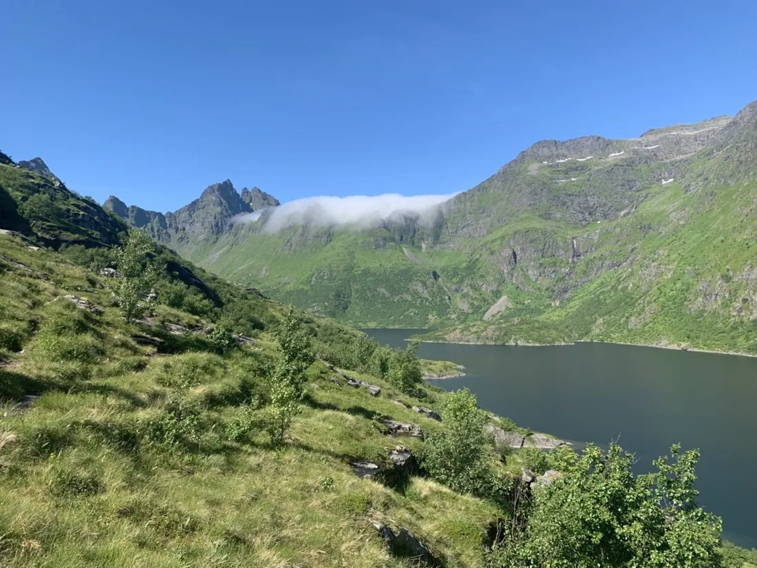 Grassy hiking trail winding along a green Lofoten ridge
