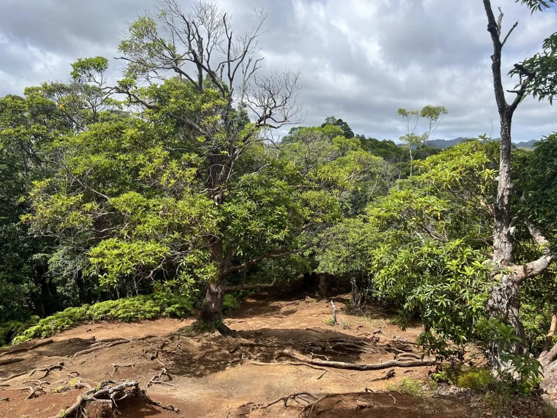 Red dirt clearing on the waterfall trail